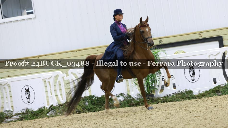 Proof Number 24BUCK_03488
