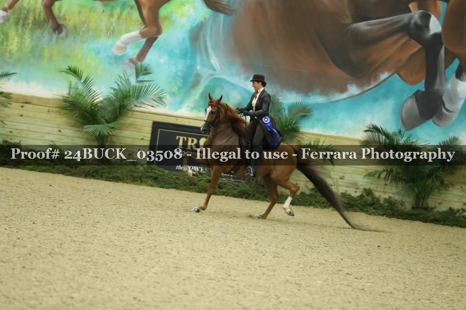 Proof Number 24BUCK_03508