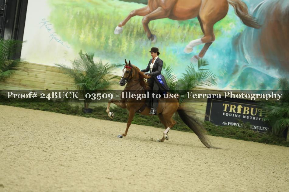 Proof Number 24BUCK_03509