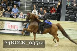 24BUCK_03514 thumbnail