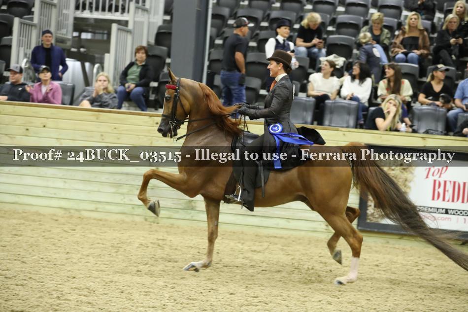Proof Number 24BUCK_03515