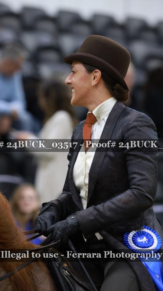 Proof Number 24BUCK_03517
