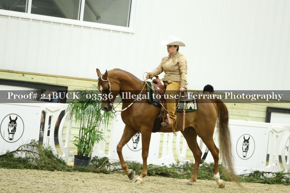 Proof Number 24BUCK_03536