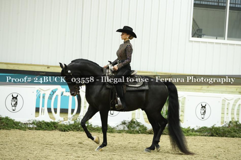 Proof Number 24BUCK_03558