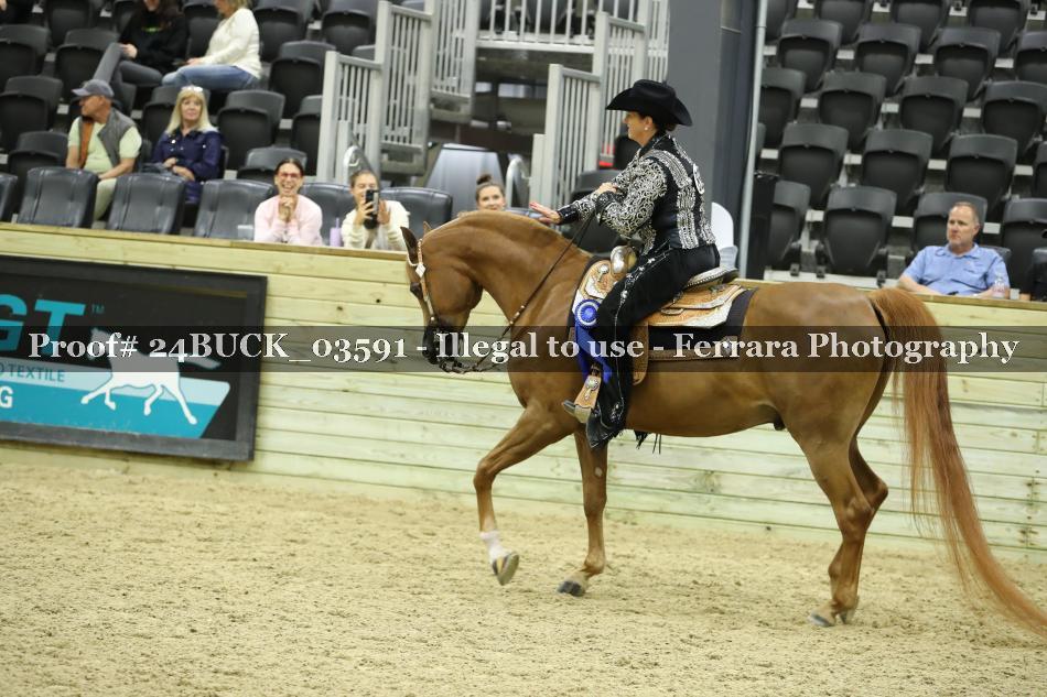 Proof Number 24BUCK_03591