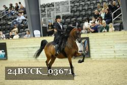 24BUCK_03671 thumbnail