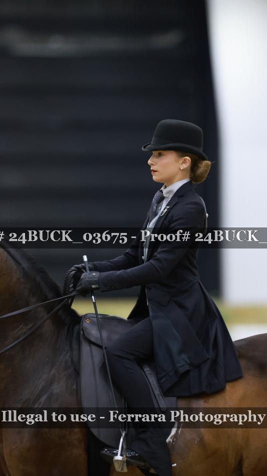 Proof Number 24BUCK_03675