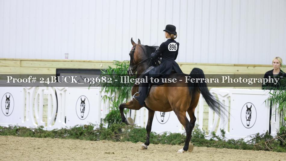 Proof Number 24BUCK_03682