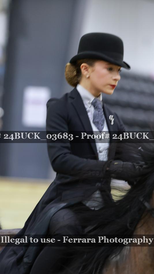 Proof Number 24BUCK_03683