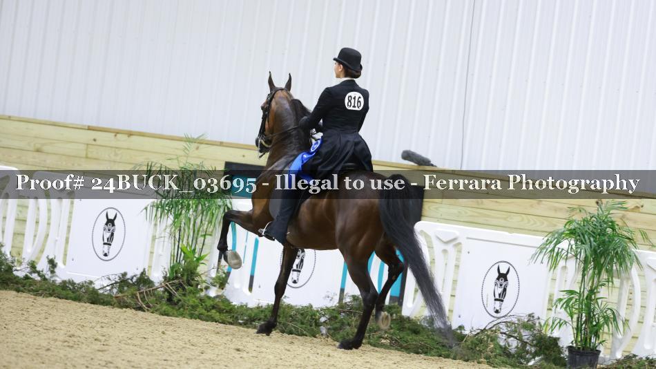 Proof Number 24BUCK_03695