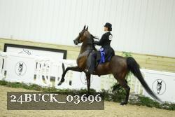 24BUCK_03696 thumbnail