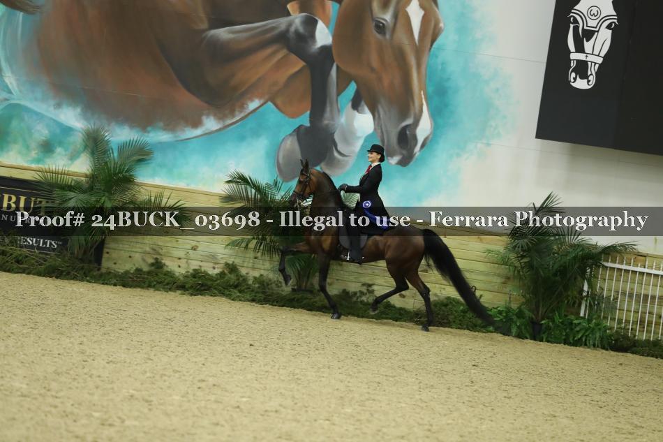 Proof Number 24BUCK_03698