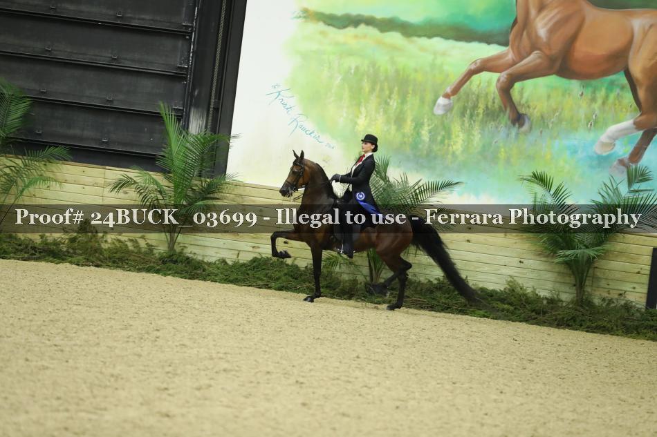 Proof Number 24BUCK_03699