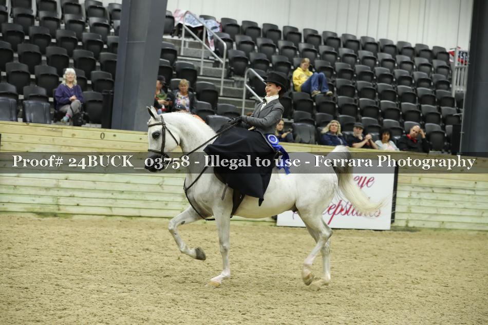 Proof Number 24BUCK_03758