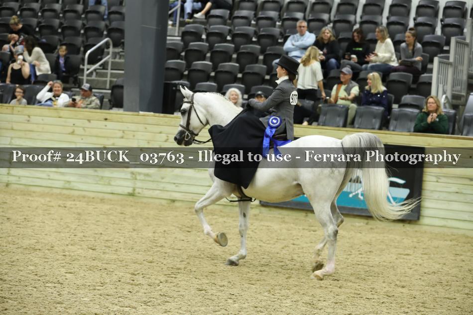 Proof Number 24BUCK_03763