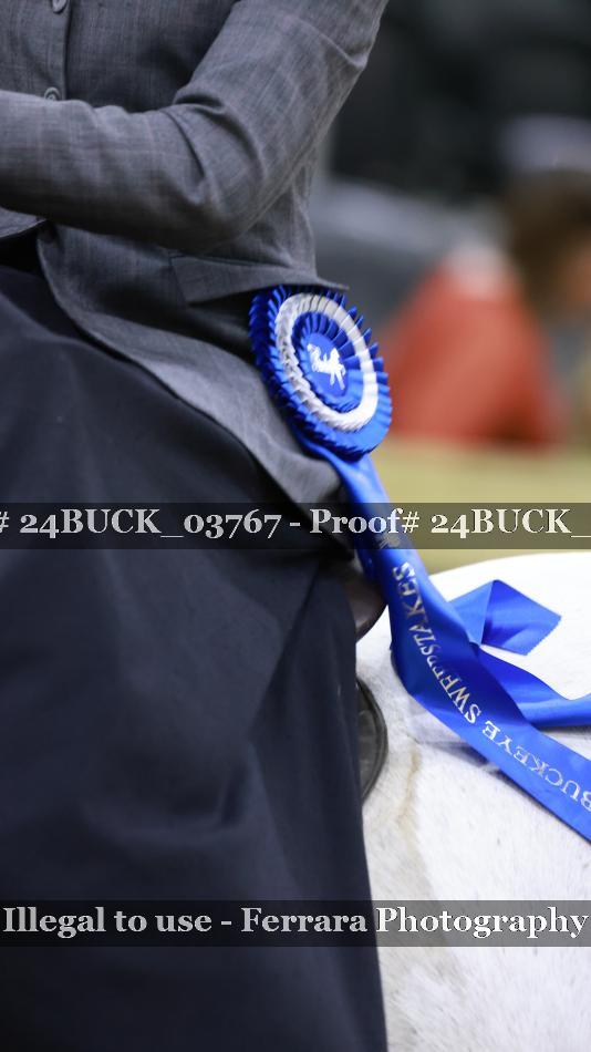 Proof Number 24BUCK_03767