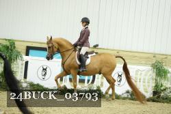 24BUCK_03793 thumbnail
