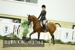 24BUCK_03794 thumbnail
