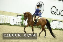 24BUCK_03796 thumbnail
