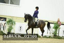 24BUCK_03799 thumbnail