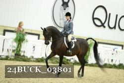 24BUCK_03801 thumbnail