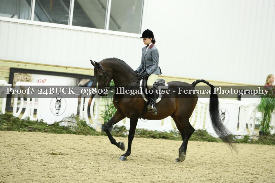 Proof Number 24BUCK_03802