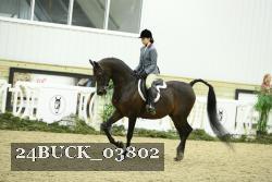 24BUCK_03802 thumbnail