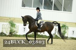 24BUCK_03803 thumbnail