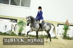 24BUCK_03804 thumbnail