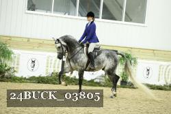 24BUCK_03805 thumbnail