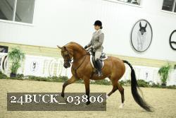 24BUCK_03806 thumbnail