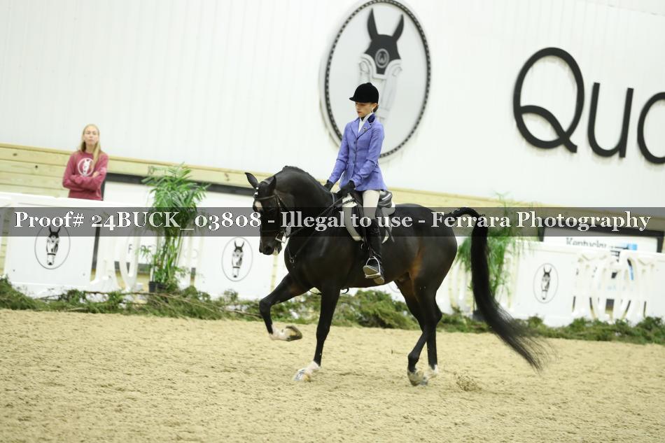 Proof Number 24BUCK_03808