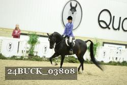 24BUCK_03808 thumbnail