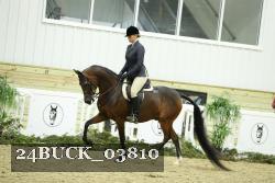 24BUCK_03810 thumbnail