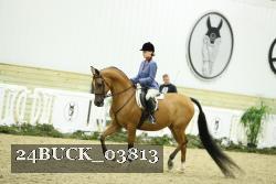 24BUCK_03813 thumbnail