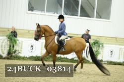 24BUCK_03814 thumbnail