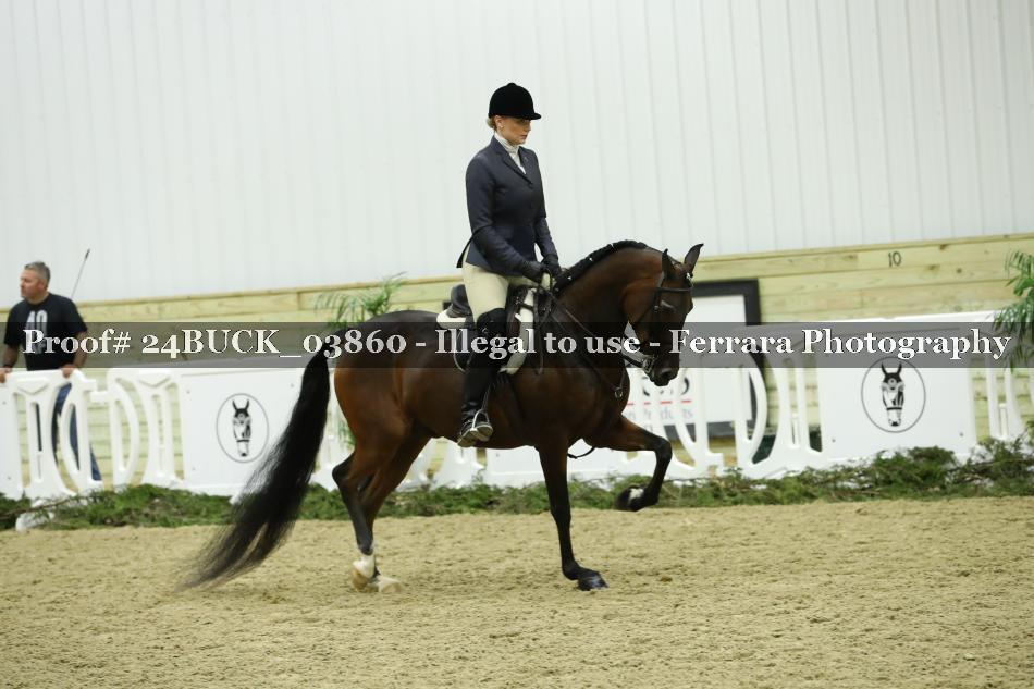 Proof Number 24BUCK_03860
