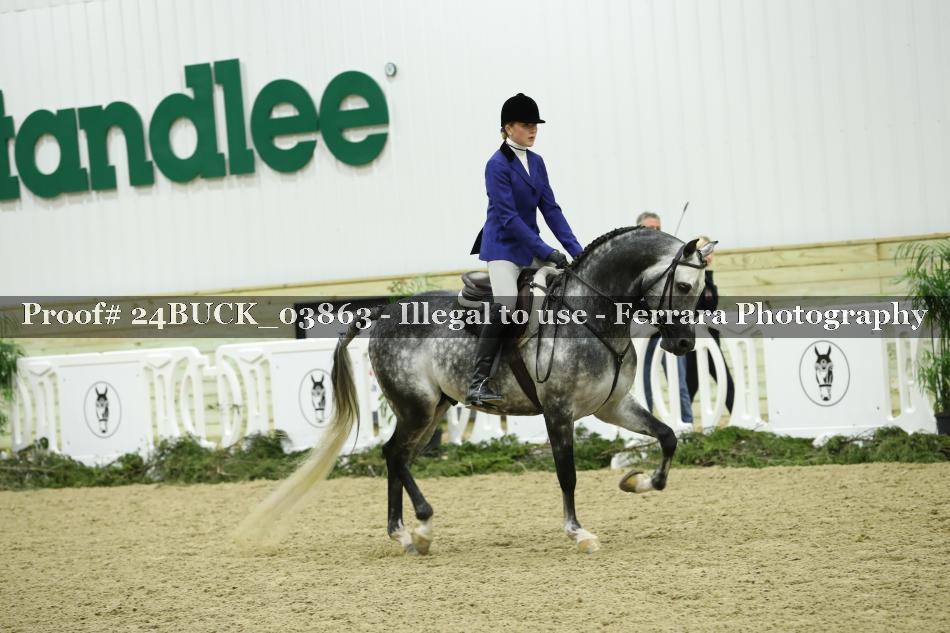 Proof Number 24BUCK_03863