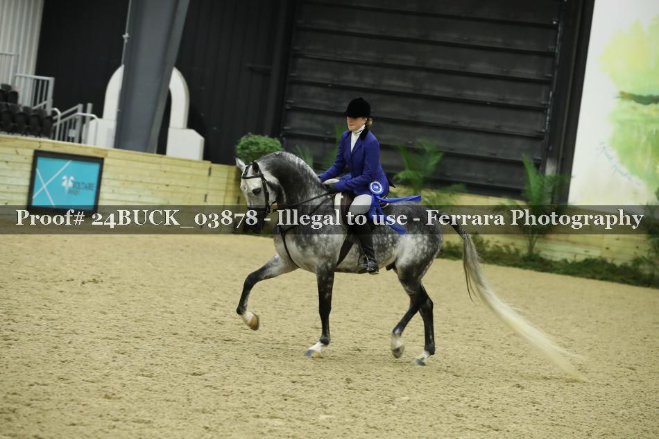 Proof Number 24BUCK_03878