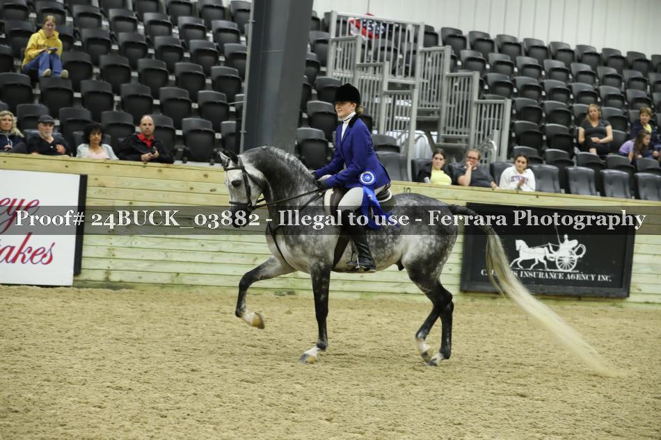 Proof Number 24BUCK_03882