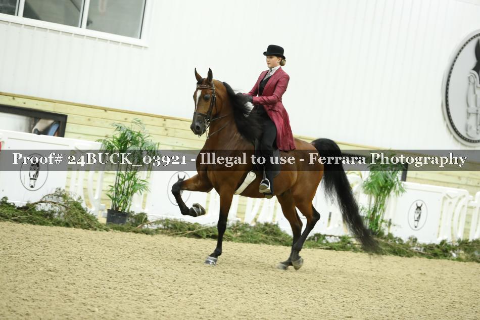 Proof Number 24BUCK_03921