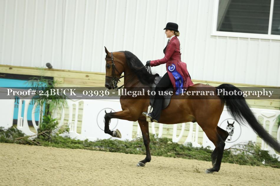 Proof Number 24BUCK_03936