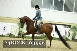 24BUCK_03996 thumbnail