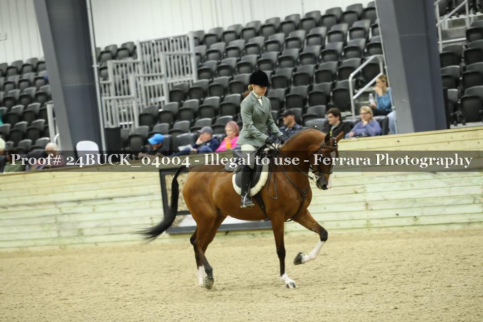 Proof Number 24BUCK_04004