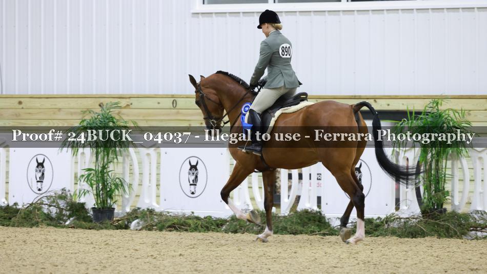 Proof Number 24BUCK_04037