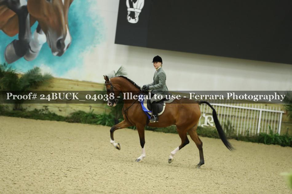 Proof Number 24BUCK_04038