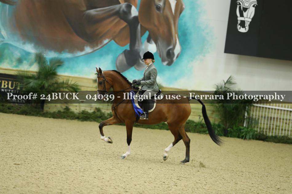 Proof Number 24BUCK_04039