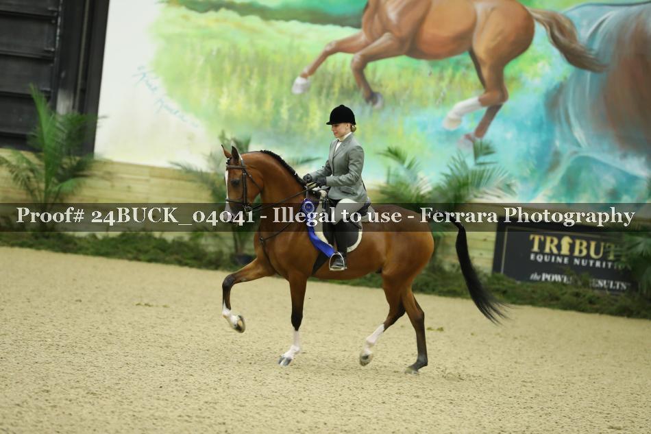 Proof Number 24BUCK_04041