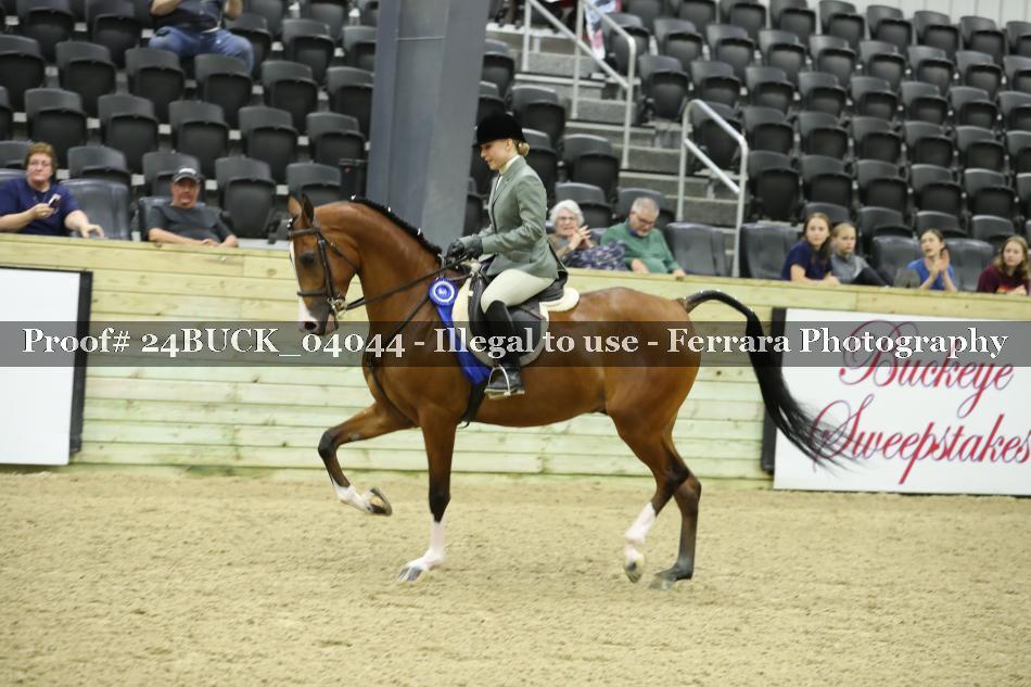 Proof Number 24BUCK_04044