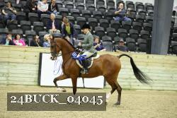 24BUCK_04045 thumbnail